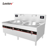 LT-D700II Double Head Chinese Commercial Induction Wok Range